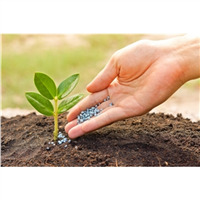 Гранулированные