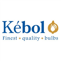 Kebol B.V.