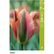 Зеленоцветные