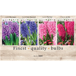 106639 Гиацинты