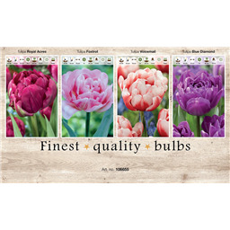 106655 Тюльпаны Махровые Ранние