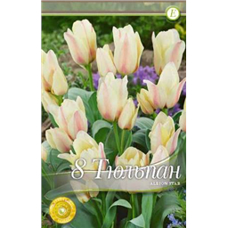 Альбион Стар