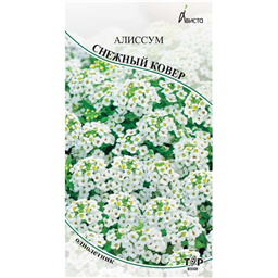 Алиссум Снежный ковер