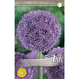 Аллиум Альбопилосум