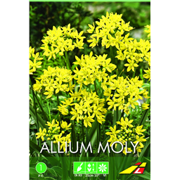 Аллиум Молли