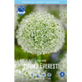 Аллиум Моунт Эверест