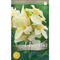 Амбассадор