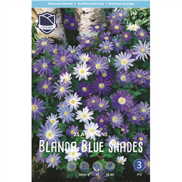 Анемона Блю Шейд