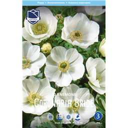 Анемона Брайд