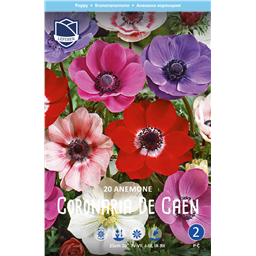 Анемона Де Каен