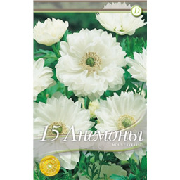 Анемона Моунт Эверест