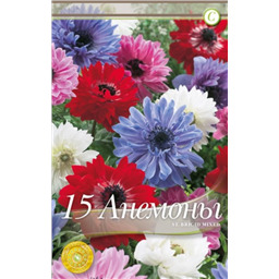 Анемона Ст.Бриджит