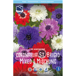 Анемона Ст.Бриджит