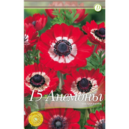 Анемона Зе Говинор