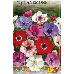 Анемона Де Каен