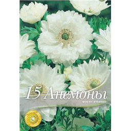 Анемона Маунт Эверест