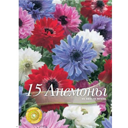 Анемона Ст. Бриджит смесь