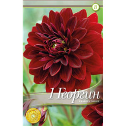 Арабиан Найт