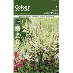 Астильба Майти Плони