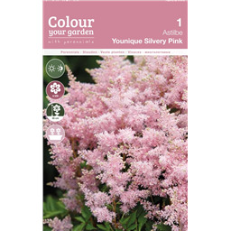 Астильба Юник Сильвер Пинк