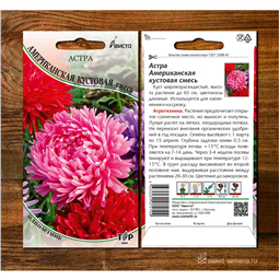 Астра Американская кустовая смесь