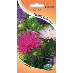 Астра Гинт Рэй смесь