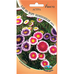 Астра Хай но Мару Помпонная смесь