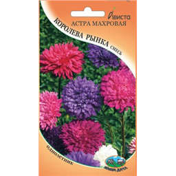 Астра Королева рынка