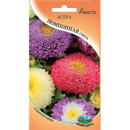 Астра Помпонная смесь