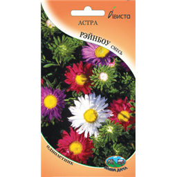 Астра Рэйнбоу смесь