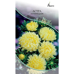 Астра Дюшес Йелоу