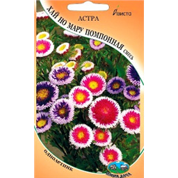 Астра Хай но Мару помпонная смесь