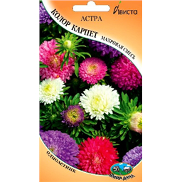 Астра Колор Карпет махровая смесь