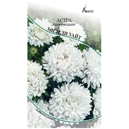 Астра Миледи Уайт