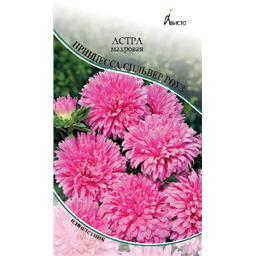 Астра Принцесса Сильвер Роуз