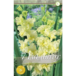 Банана Раффл