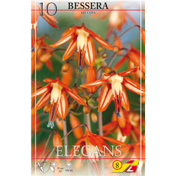 Бессера Элеганс