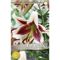 Беверли Дрим