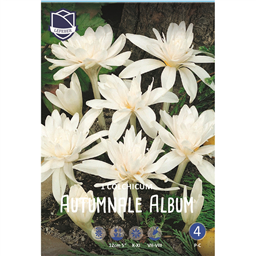 Безвременник Альбум