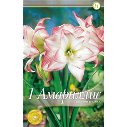 Блоссом Пеакок