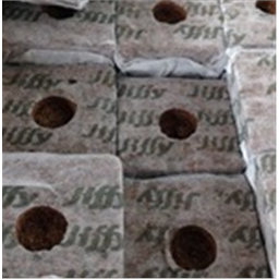 Кокосовый брикет