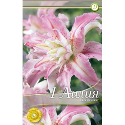 Брокен Херт