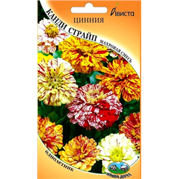 Циния Канди страйп махровая смесь