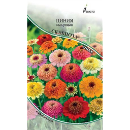 Циния Скабиоза микс