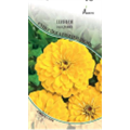 Циния Супер Йога Голден Йелоу