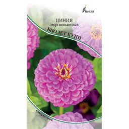 Циния Виолет Куин