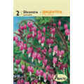 Дицентра спектраблис
