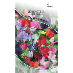 Душистый горошек Королева ночи