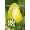 Тюльпан Дарвинов гибрид Джап Грут