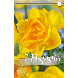 Джерси Стар